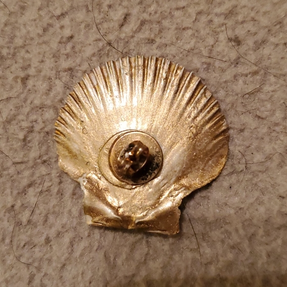 Scallop Shells - Picture 4 of 4